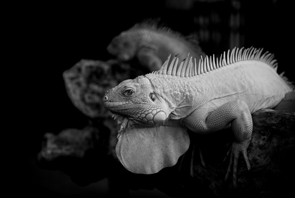 女性のための抜け毛対策にはどんな方法がある？