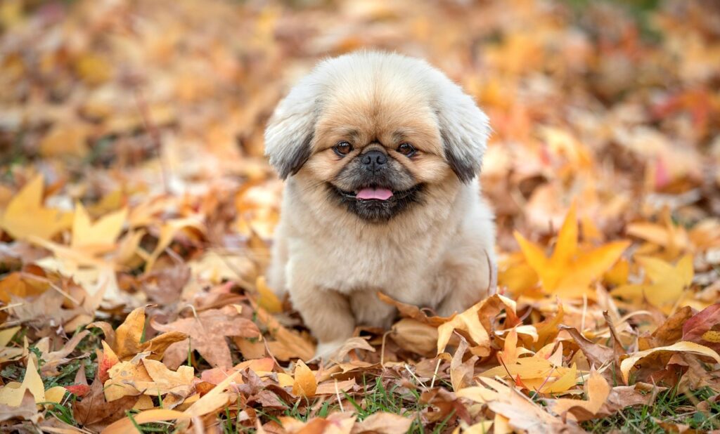 産後の抜け毛はいつから始まるのか知りたいですか？