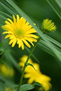 産後の薄毛対策におすすめのシャンプーは？