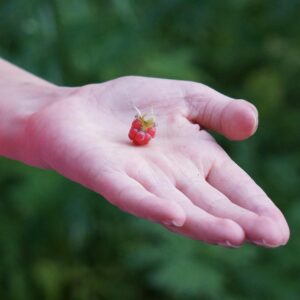 薄毛を改善するための食生活の見直しポイントは？