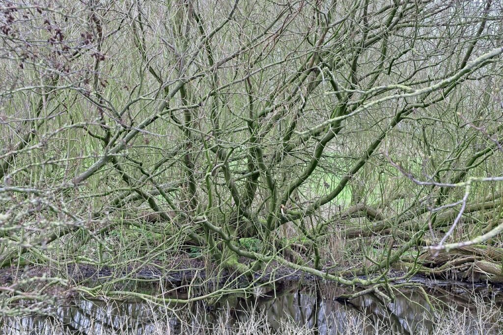 若ハゲを防ぐための20代における食生活改善のポイントは？