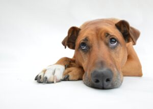 薄毛をバレないようにセットする方法は？