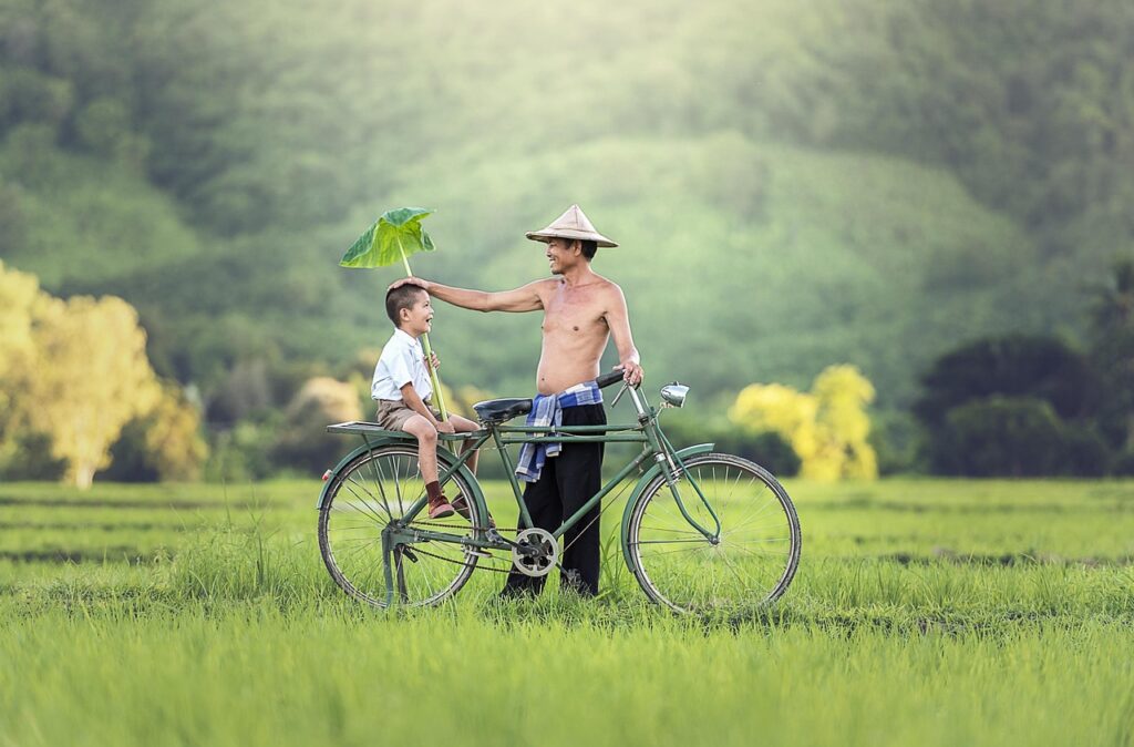 一人暮らしでできる薄毛改善のための食事は？