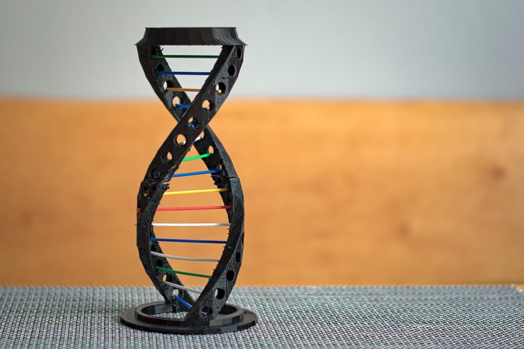 母方の薄毛は20代で遺伝するの？その真相を解明！