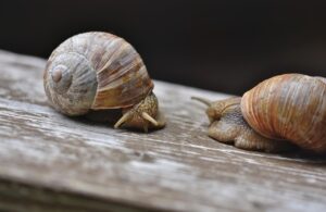 頭皮を柔らかくする方法は育毛にどう影響する？